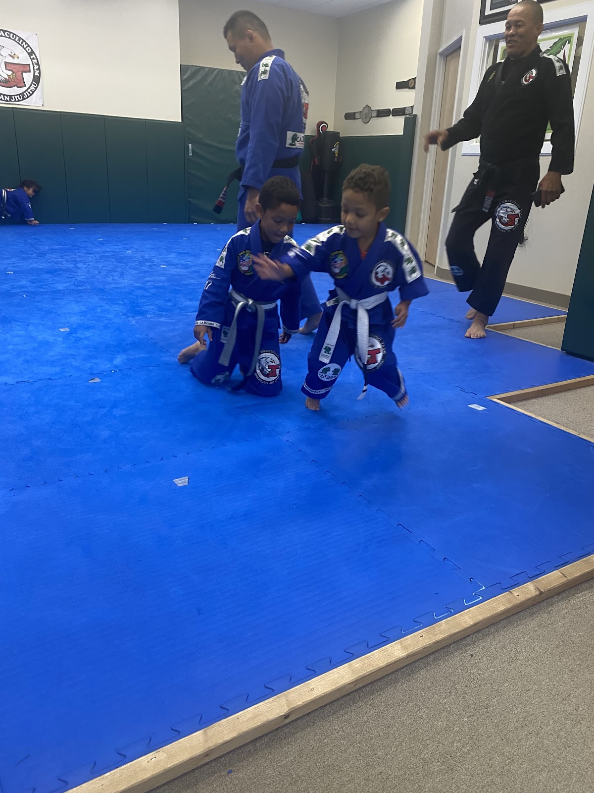 Main image of Terrinha Draculino BJJ Team