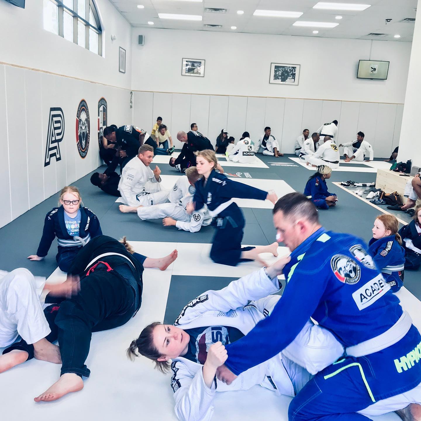 The Academy of Brazilian Jiu Jitsu photo