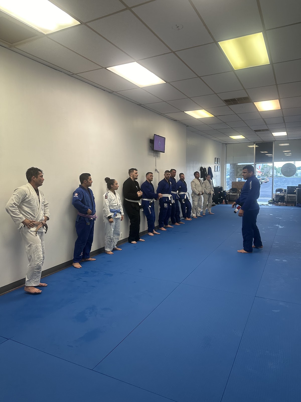 Image 9 of Diego Ramalho Brazilian Jiu Jitsu