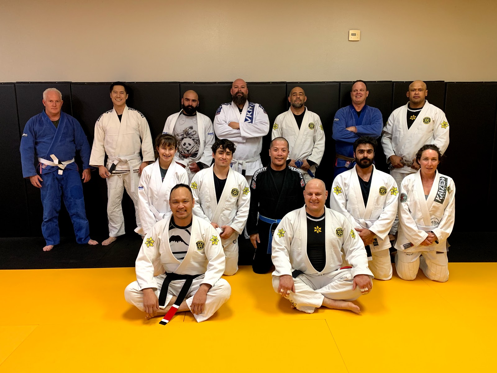 Image 4 of AP Brazilian Jiu-Jitsu Academy - Yorba Linda / Anaheim Hills