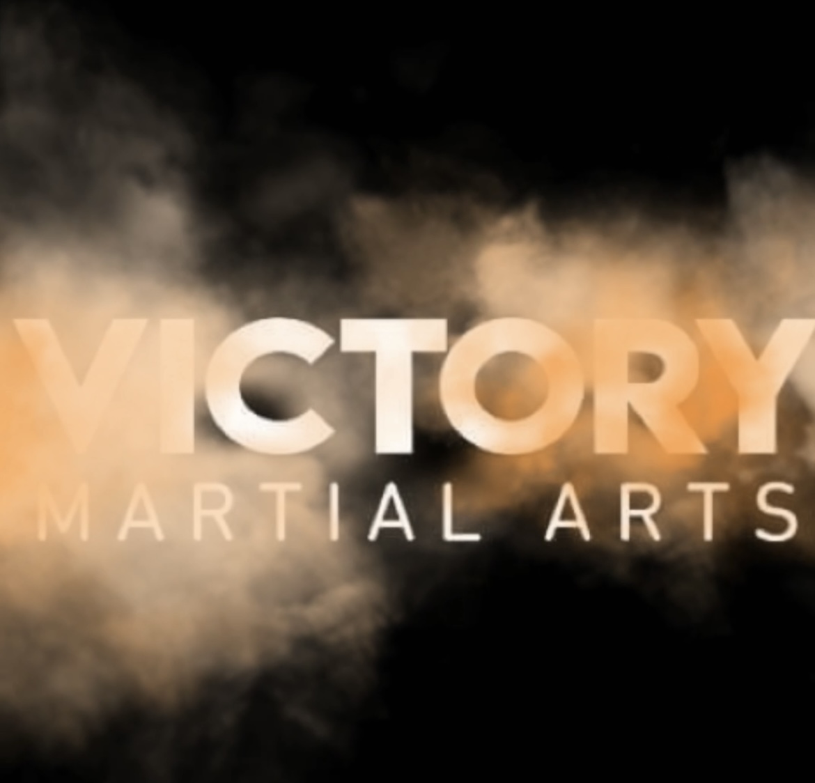 Victory Martial Arts BJJ photo