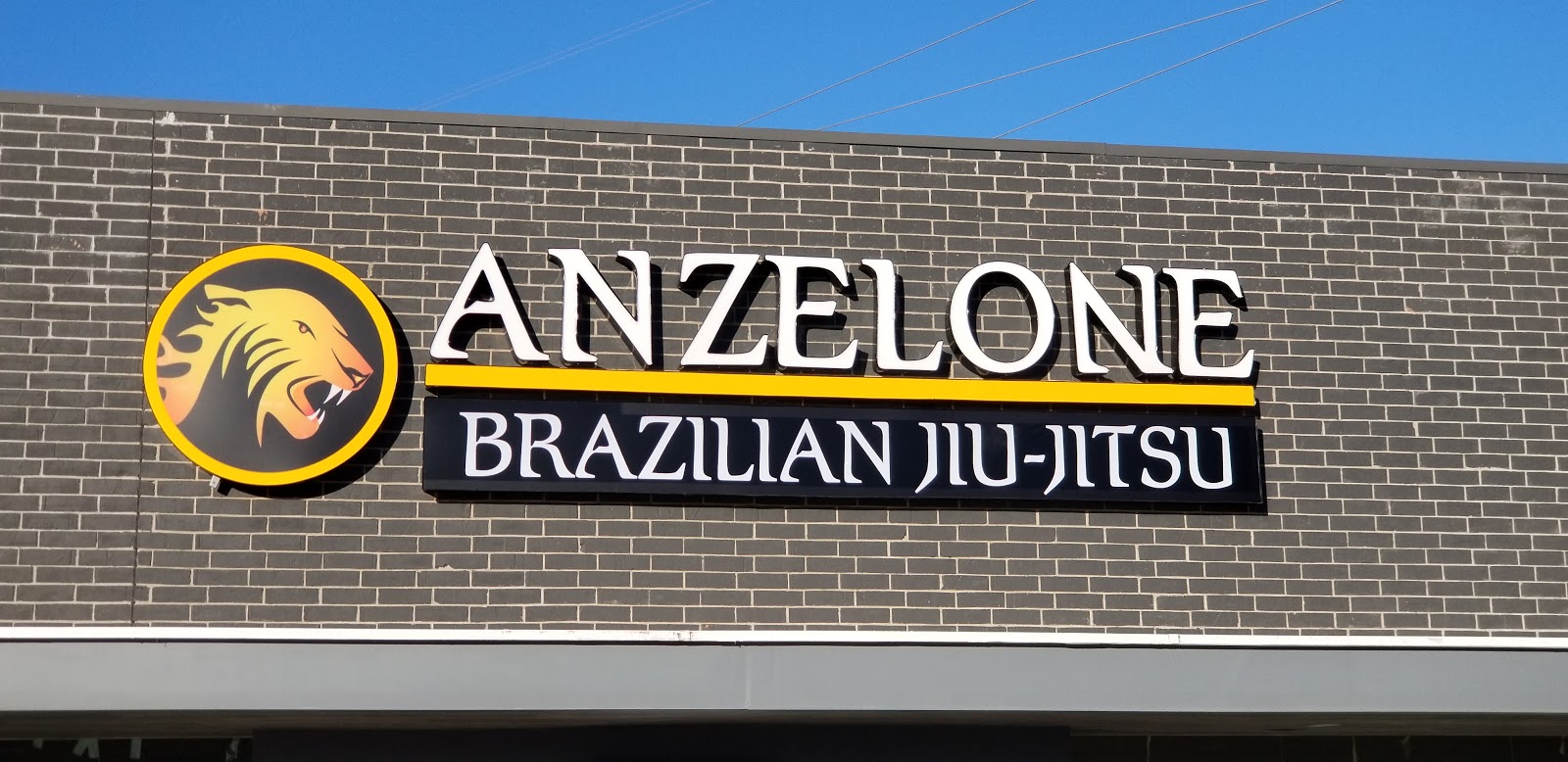 Main image of Anzelone Jiu-Jitsu