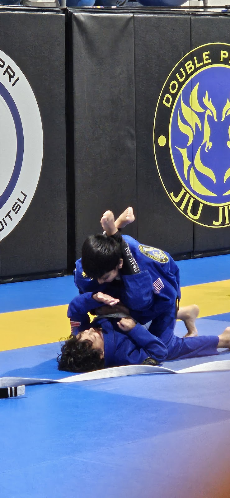 Image 8 of Double Phoenix Jiu Jitsu