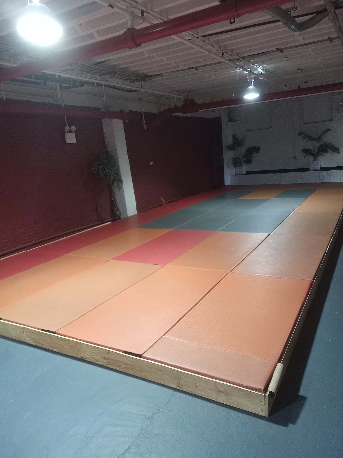 Image 5 of The Jiu Jitsu Lounge