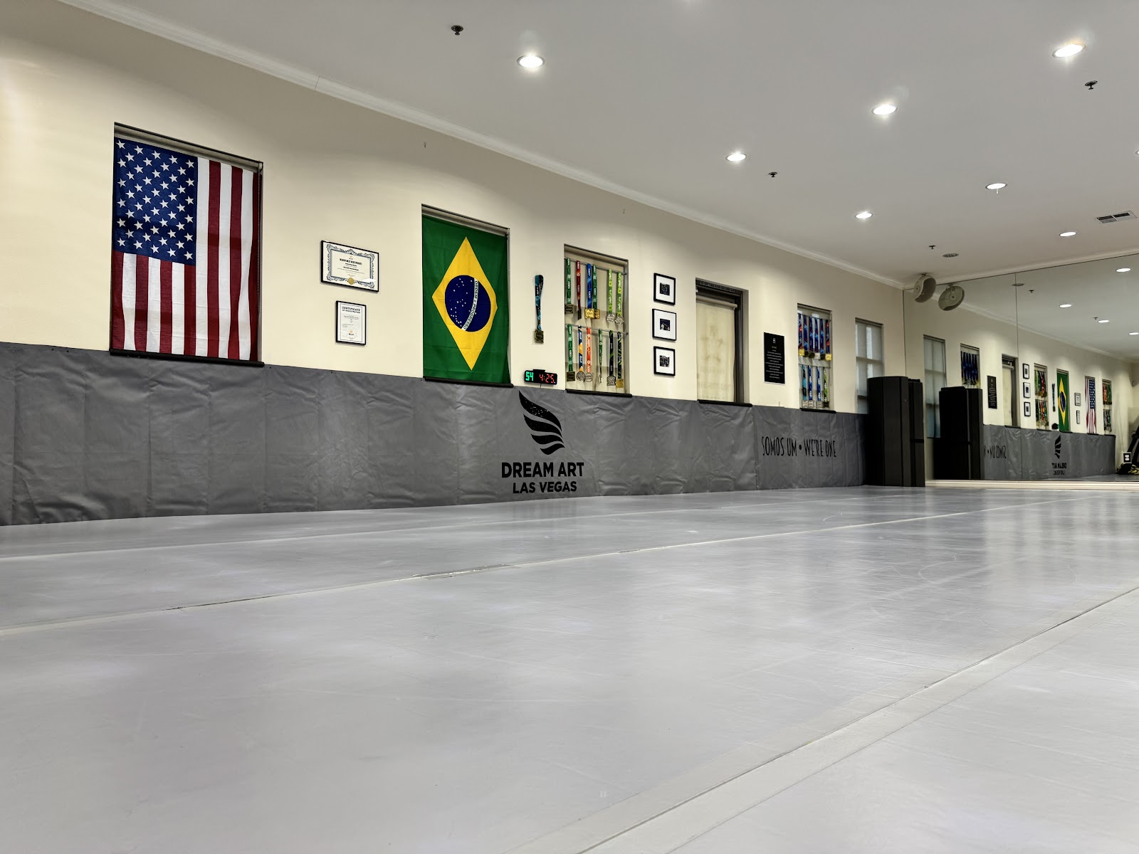 Dream Art Jiu Jitsu - Las Vegas photo