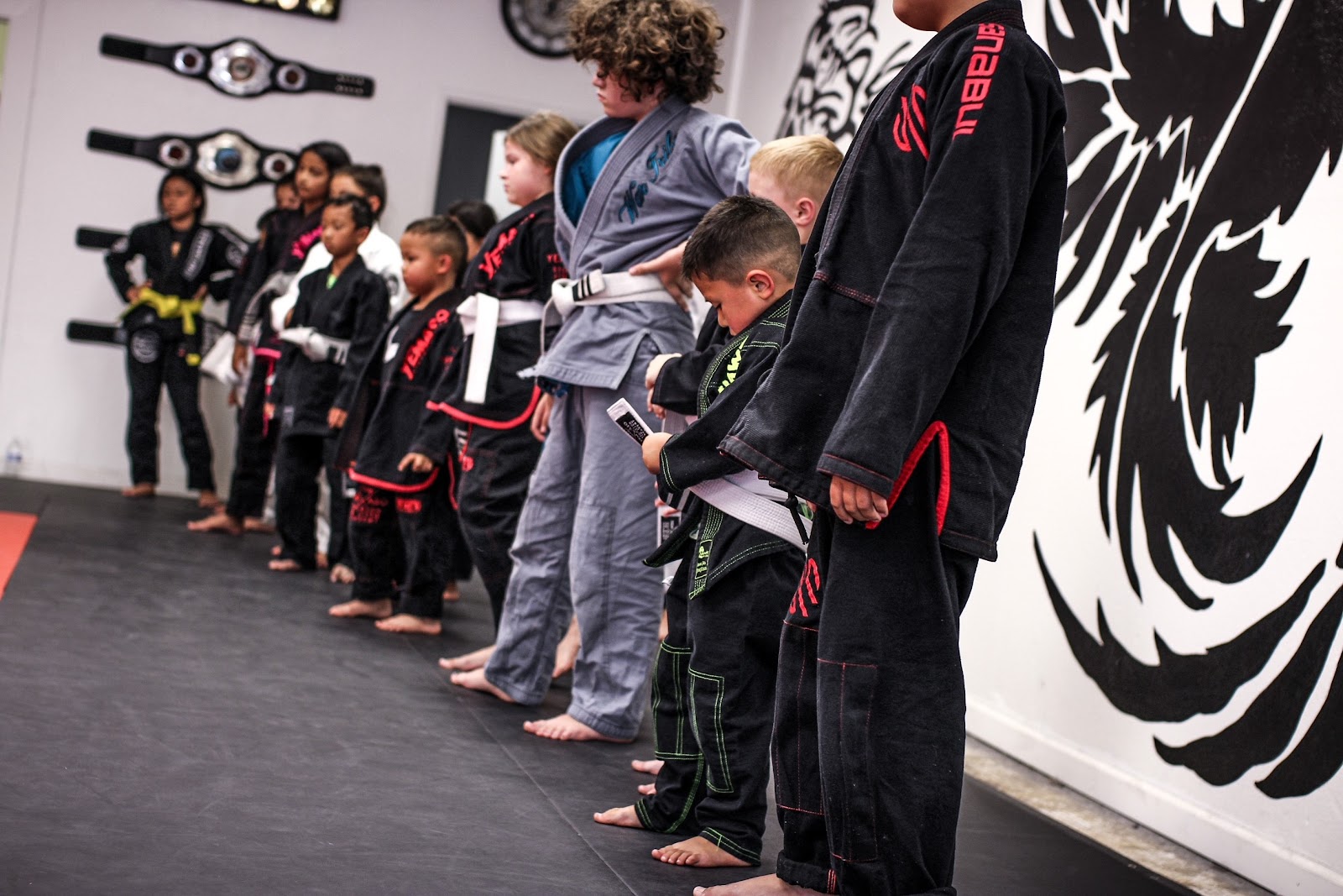 Stockton JiuJitsu Academy photo