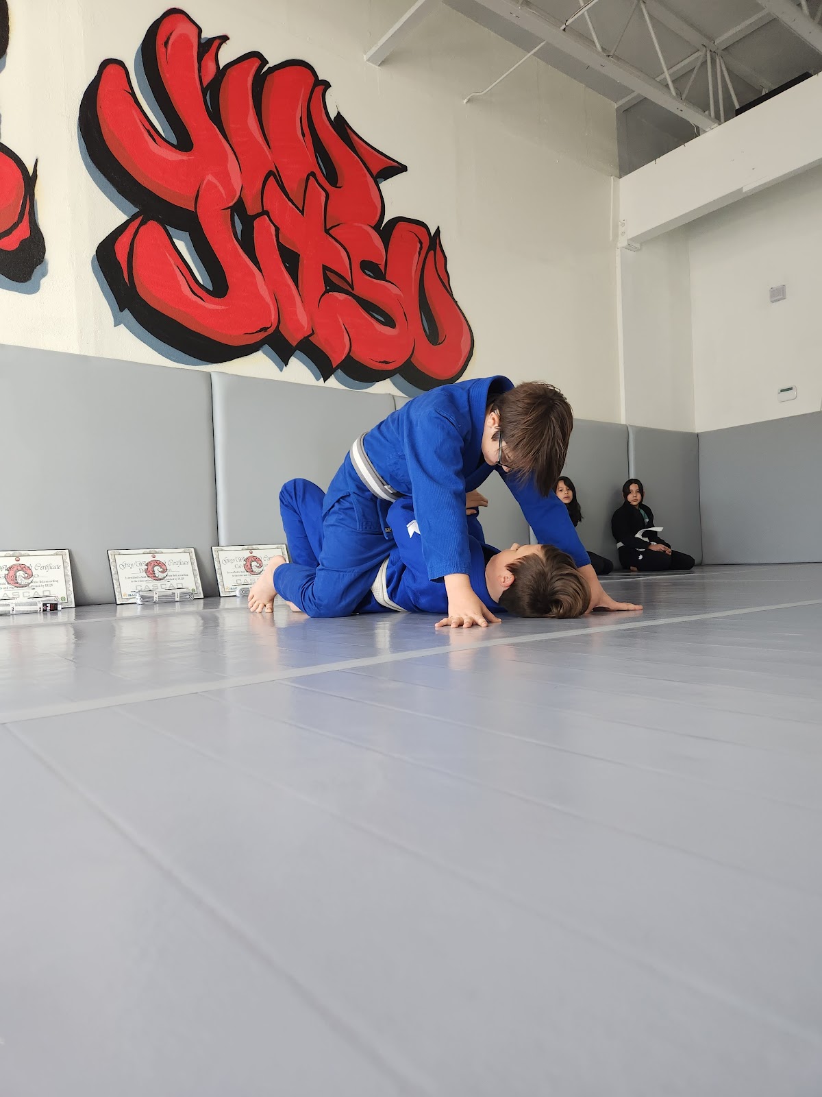 AE Brazilian Jiu Jitsu photo