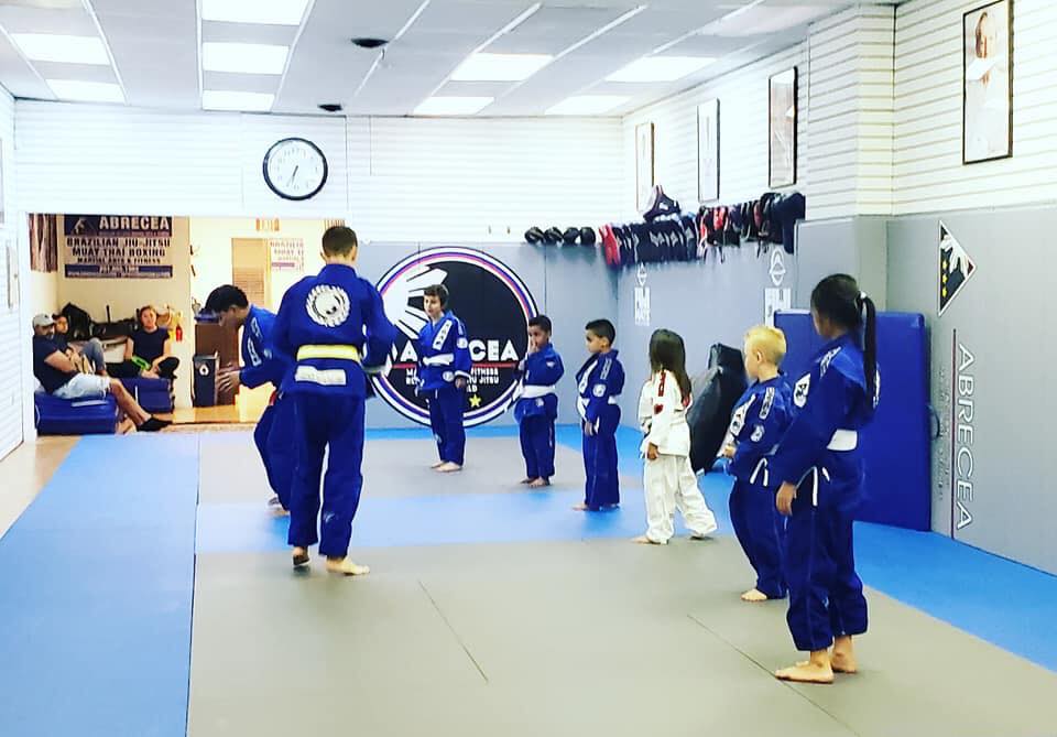 Main image of Abrecea Brazilian Jiu Jitsu Academy - Bergenfield