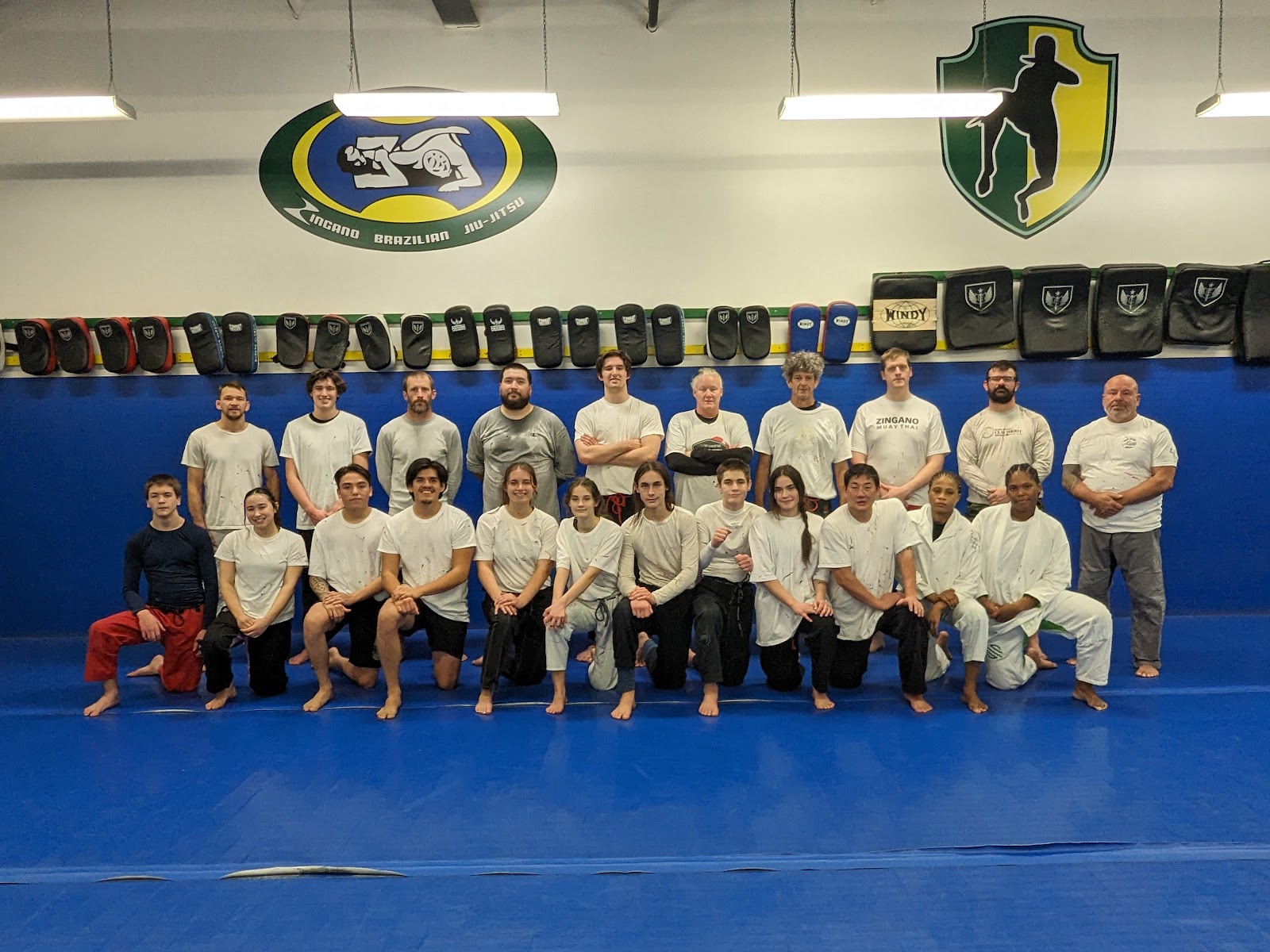 Image 9 of Zingano Brazilian Jiu Jitsu Brighton