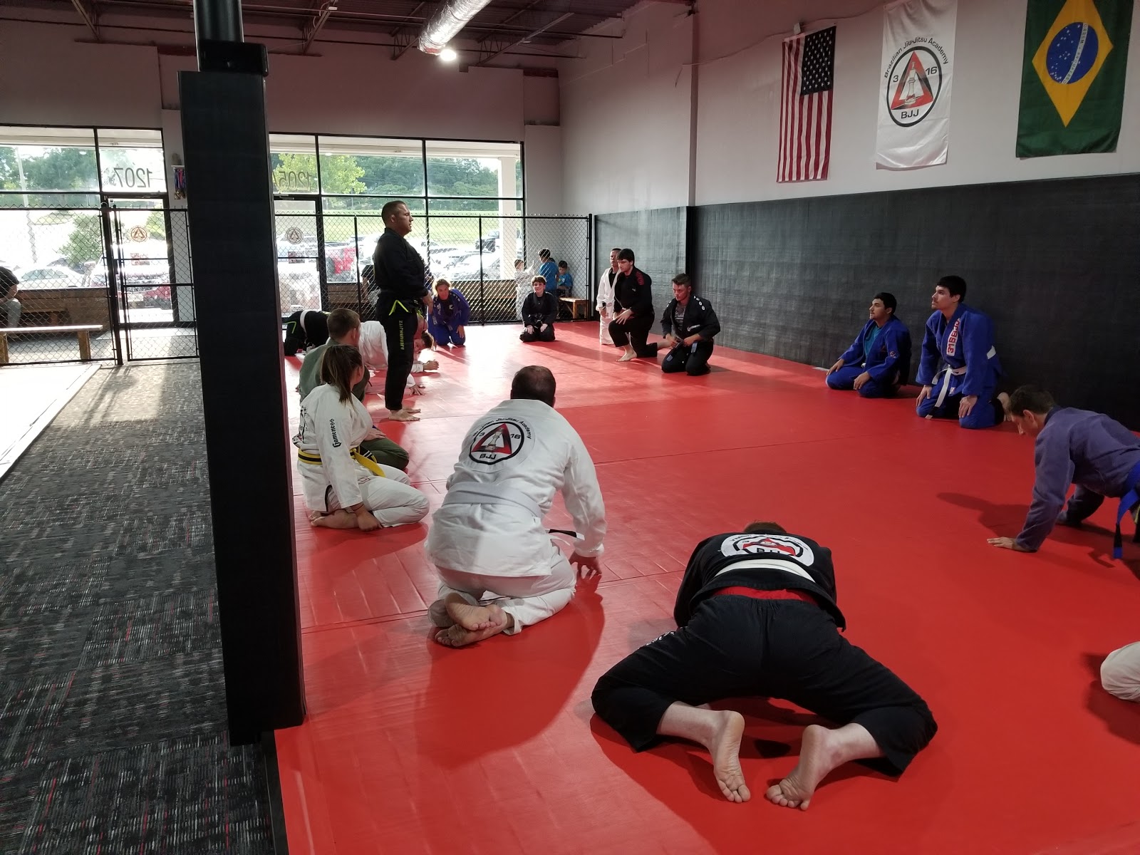 Image 10 of 316 Brazilian Jiu-Jitsu / MMA