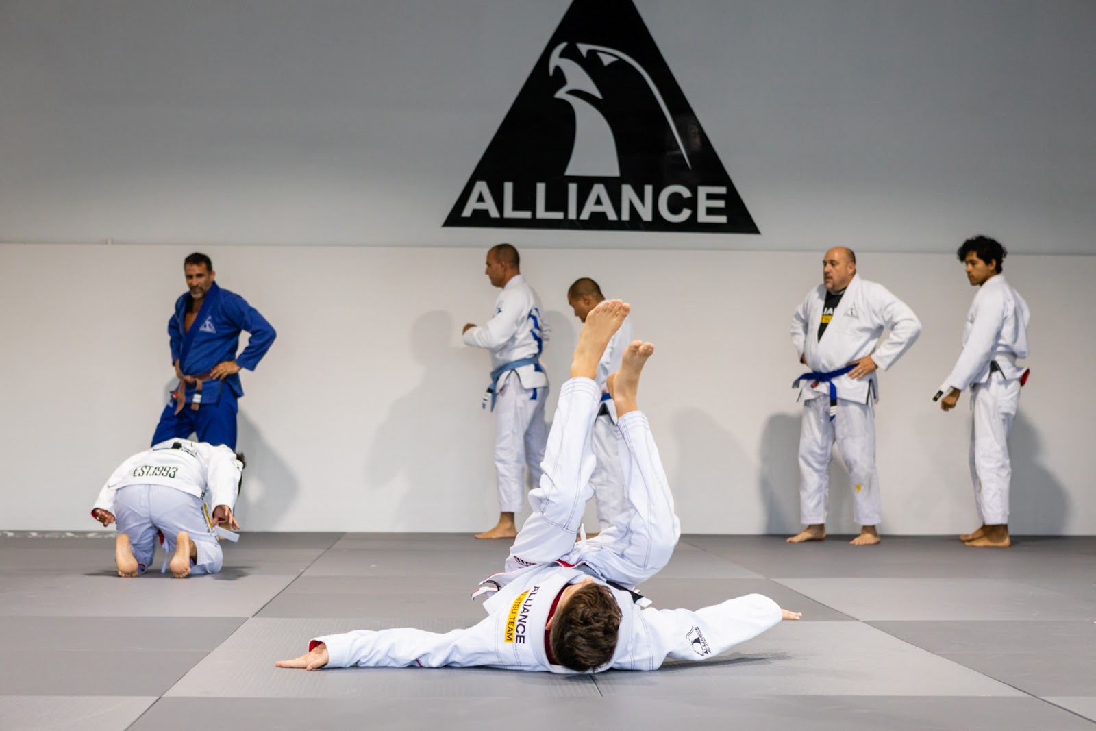 Image 2 of ALLIANCE JIU JITSU MARTIAL ARTS