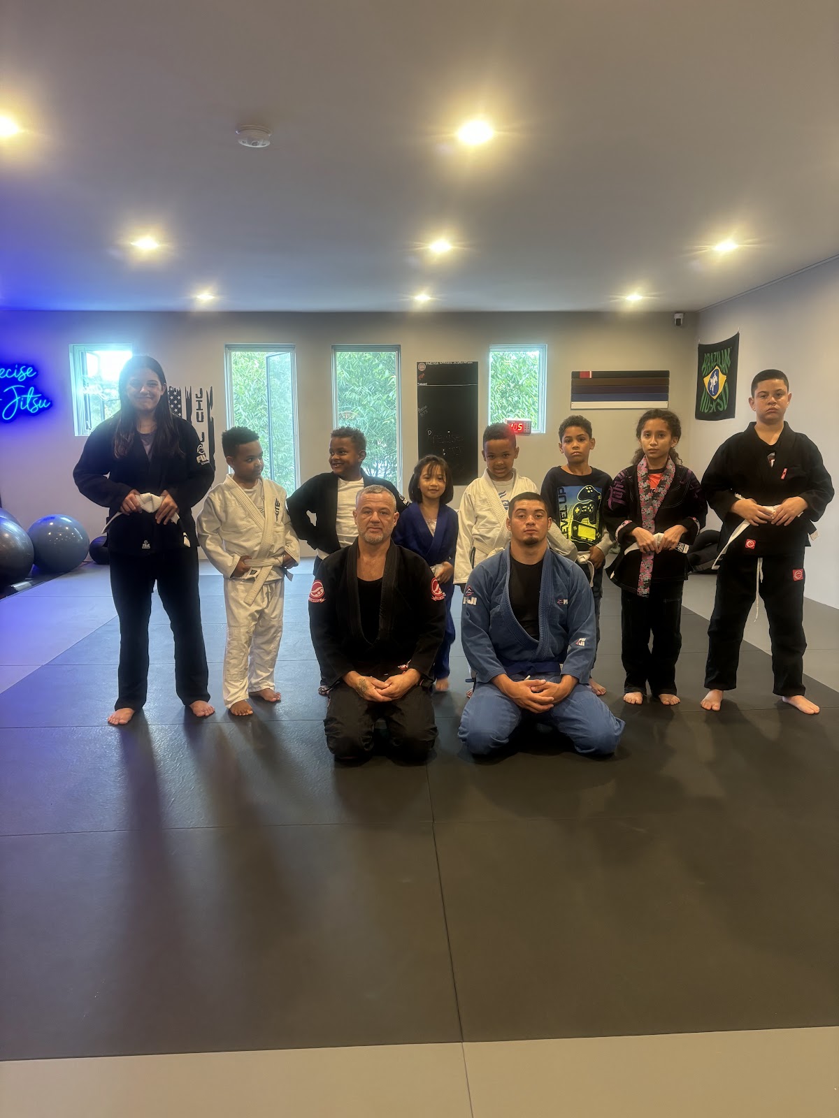 Image 10 of Precise Brazilian Jiu Jitsu