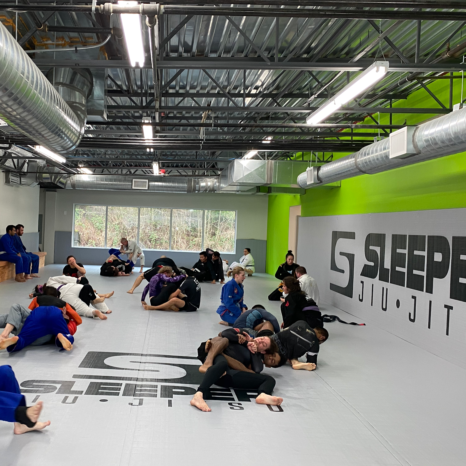 Image 2 of Sleeper Jiu Jitsu