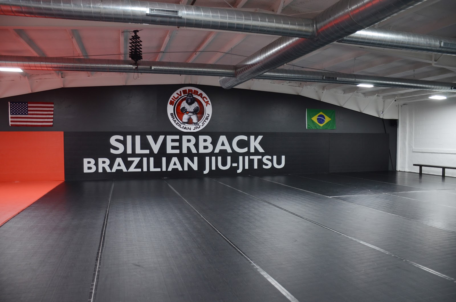 Image 5 of Silverback Brazilian Jiu-Jitsu Waupun