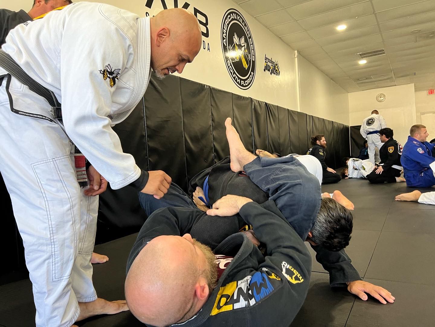 Image 7 of Killer Bees South Florida Brazilian Jiu Jitsu