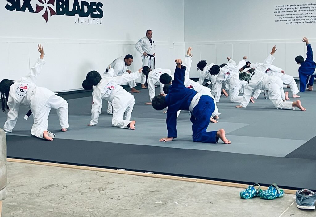 Image 2 of Six Blades Jiu-Jitsu Keller