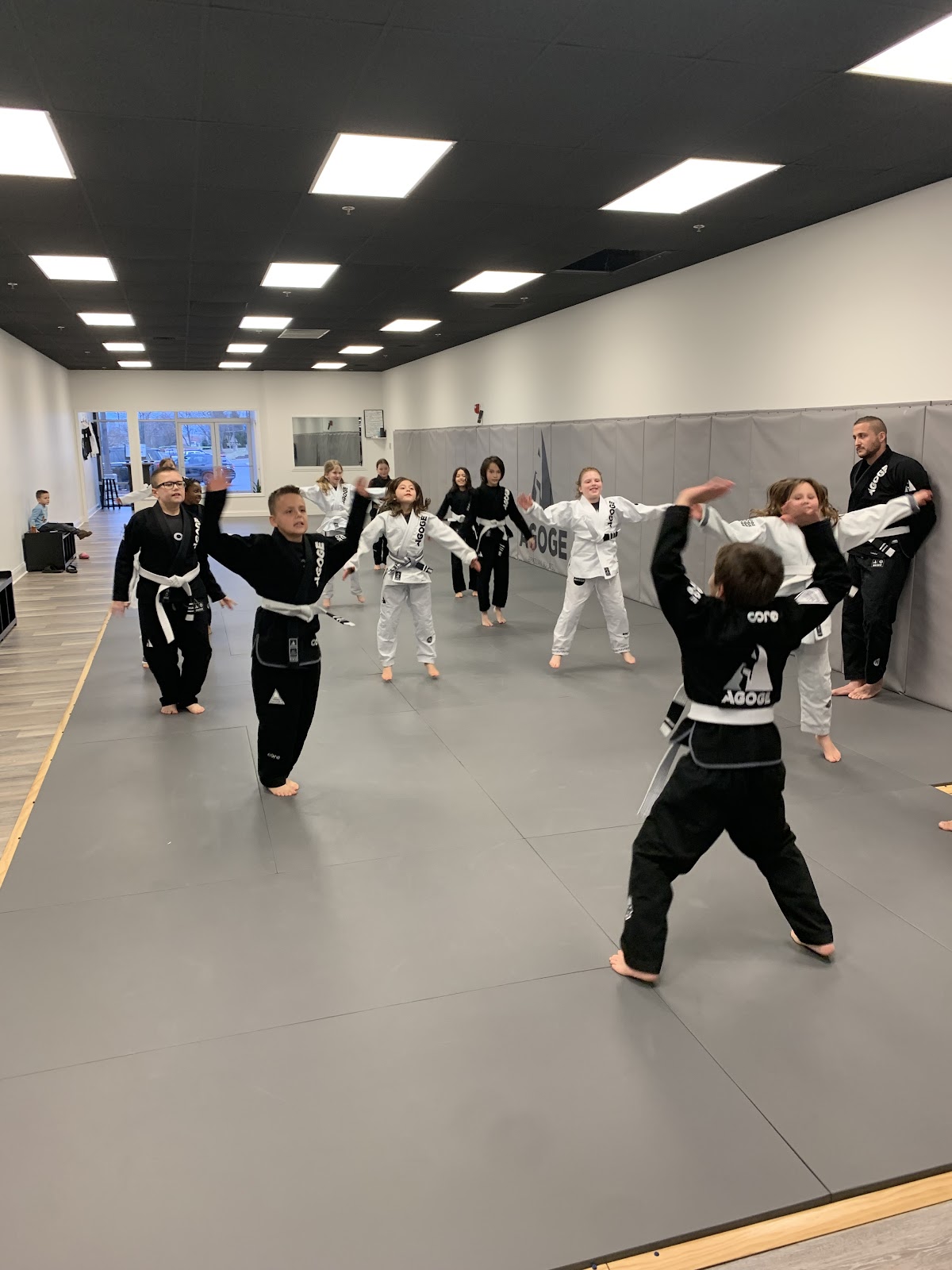 Agoge Brazilian Jiu-Jitsu Culpeper photo