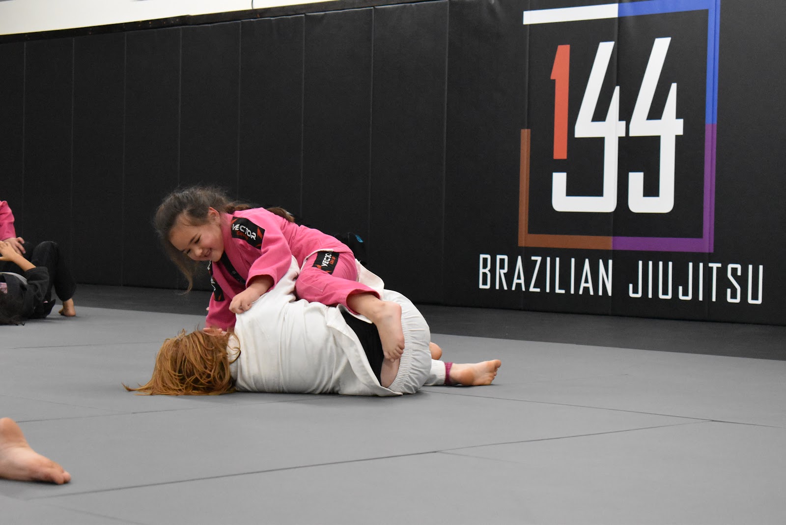 Image 8 of 144 BJJ - Martial Arts Academy