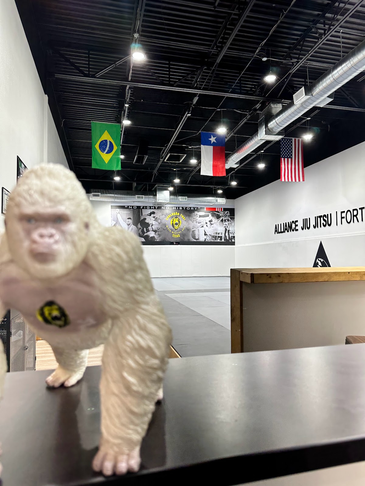 Image 8 of Alliance Jiu Jitsu Fort Worth