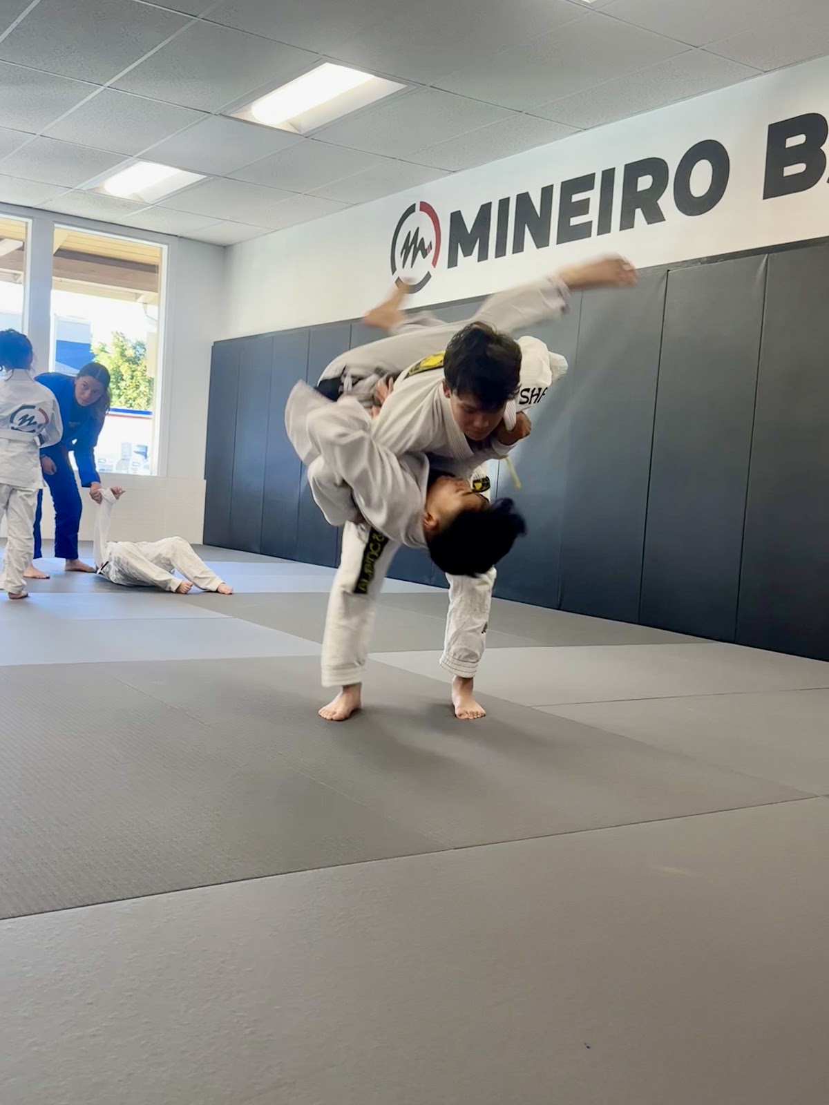 Main image of Mineiro Brazilian Jiu Jitsu - Alamo