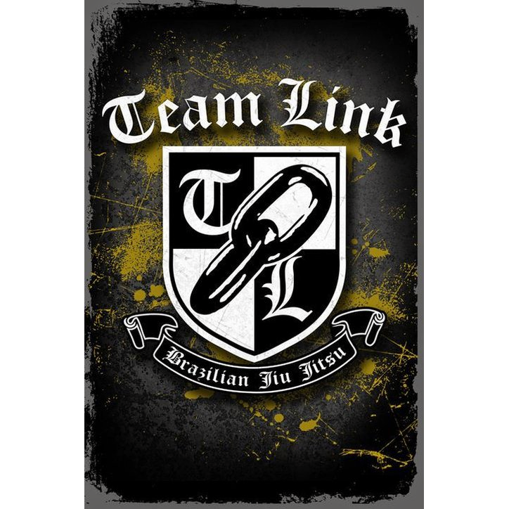 Image 10 of Team Link Utah - Brazilian Jiu Jitsu