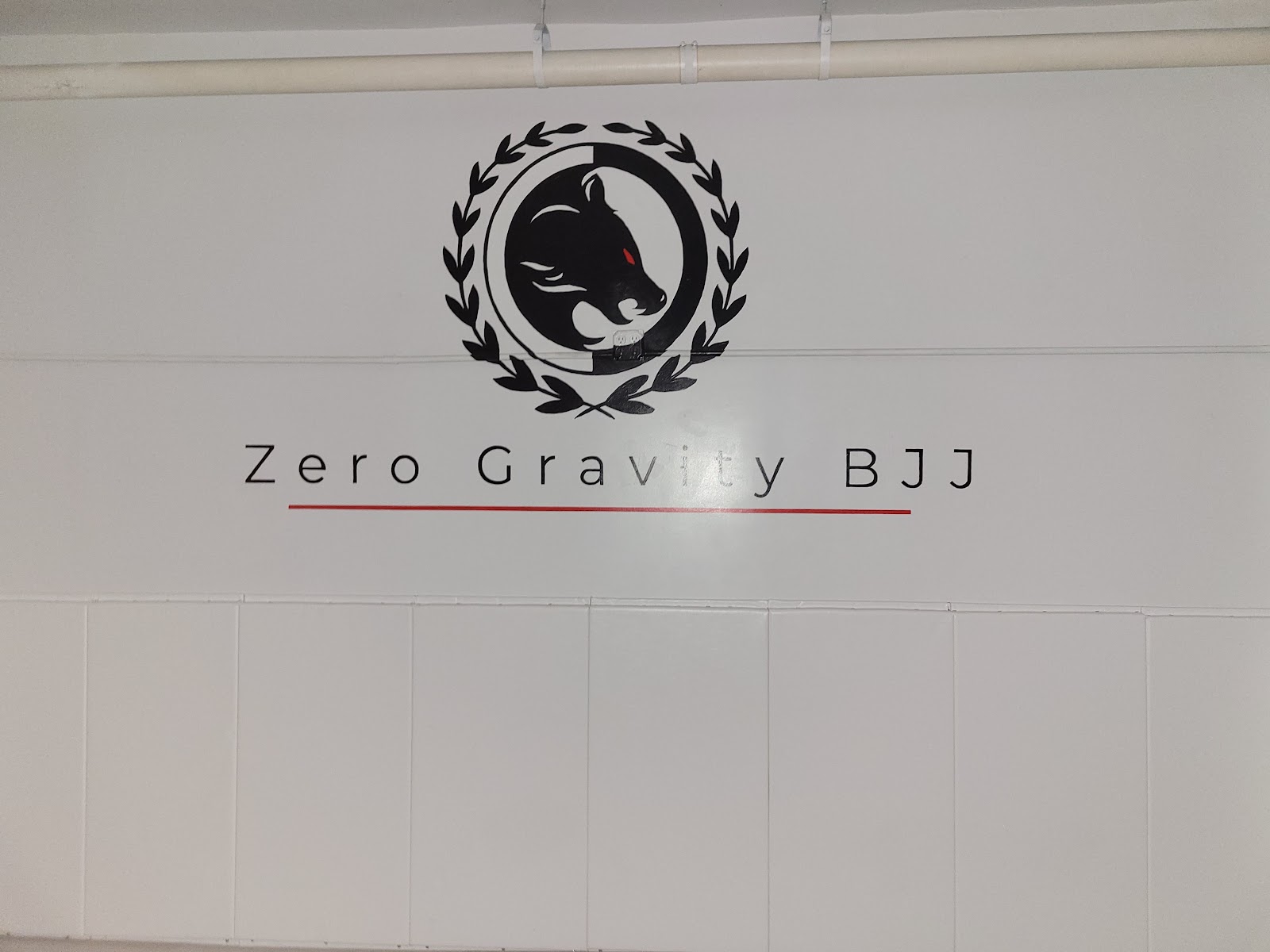 Image 8 of Zero G Brazilian Jiu Jitsu