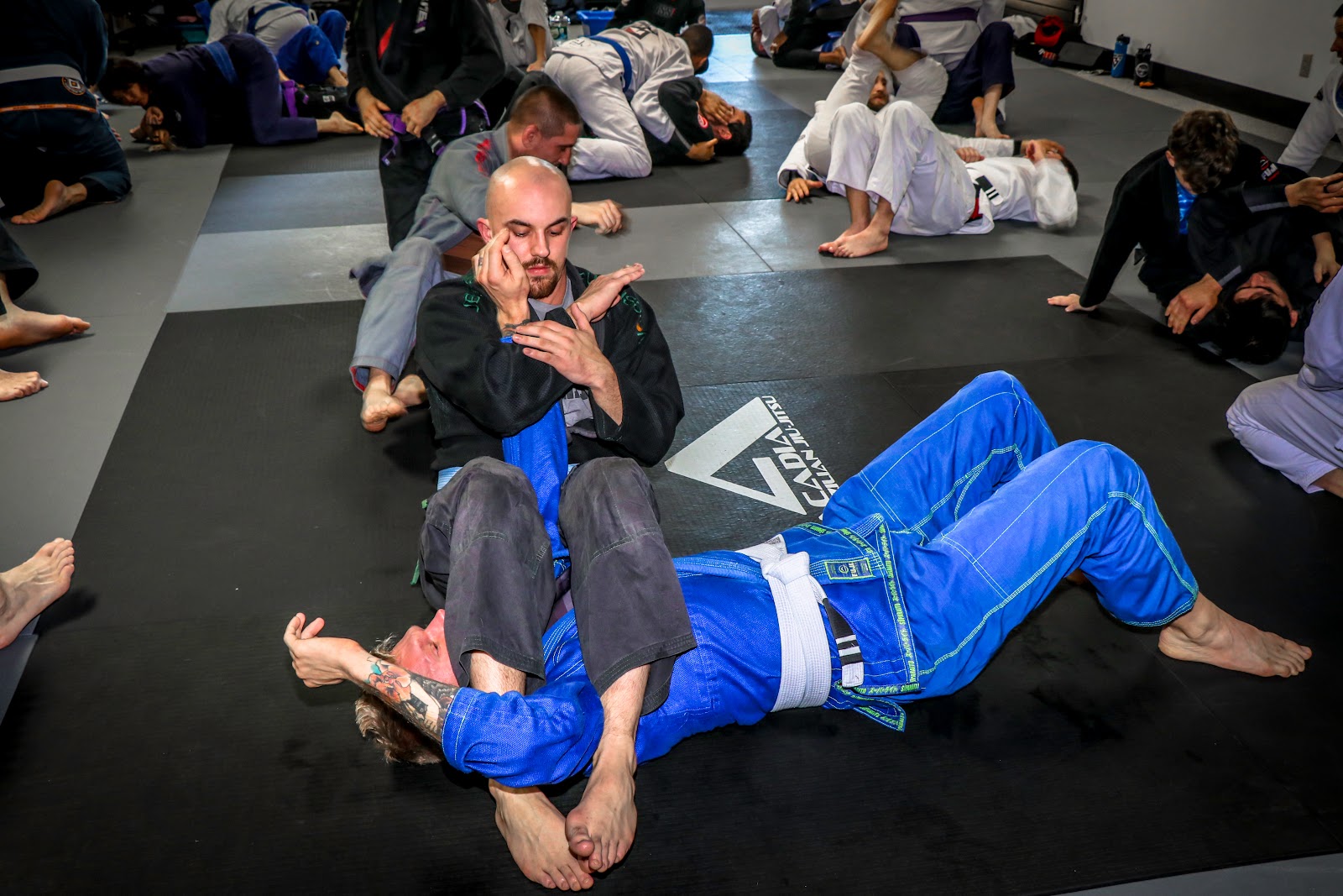 Image 7 of Gracie Jiu-Jitsu Acadia