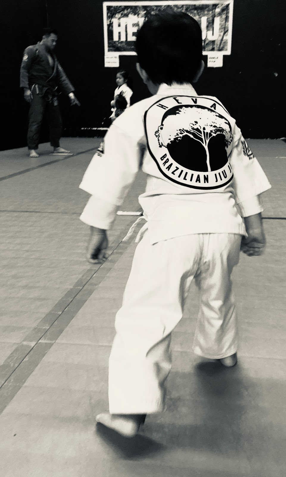 Image 9 of HEVA BJJ