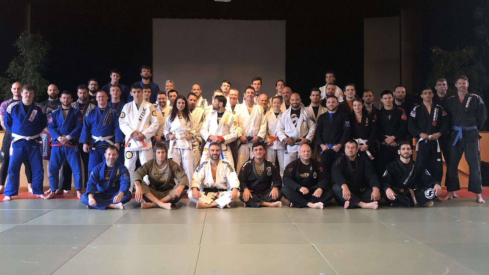 BJJ Intensive Camp photo