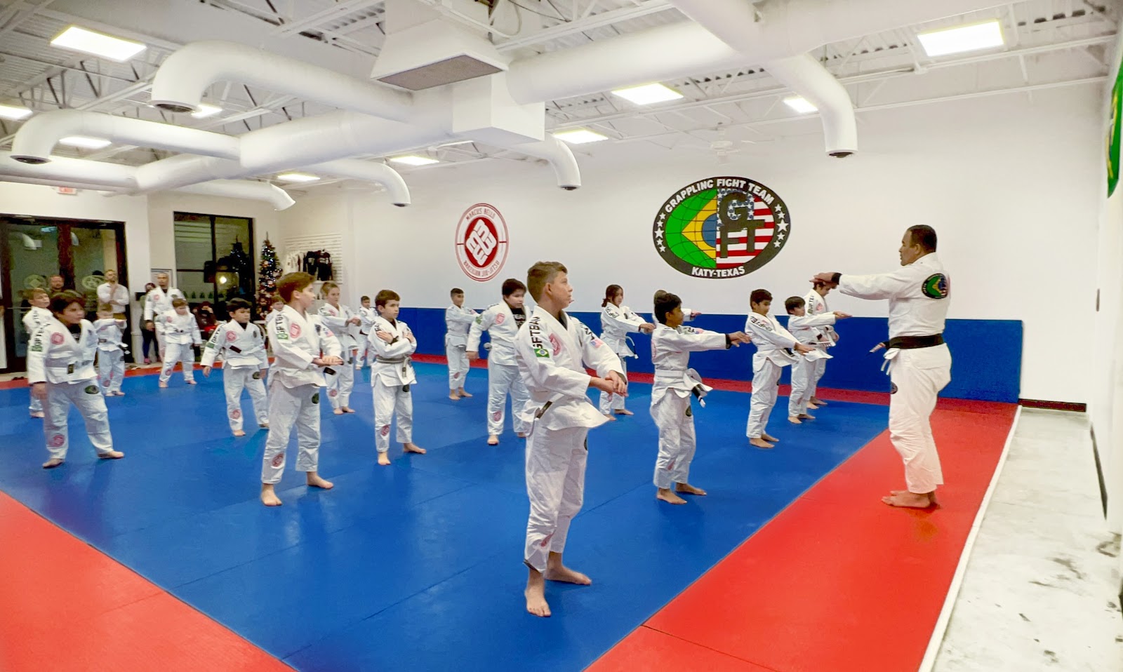 Image 9 of Division One Brazilian Jiu-Jitsu