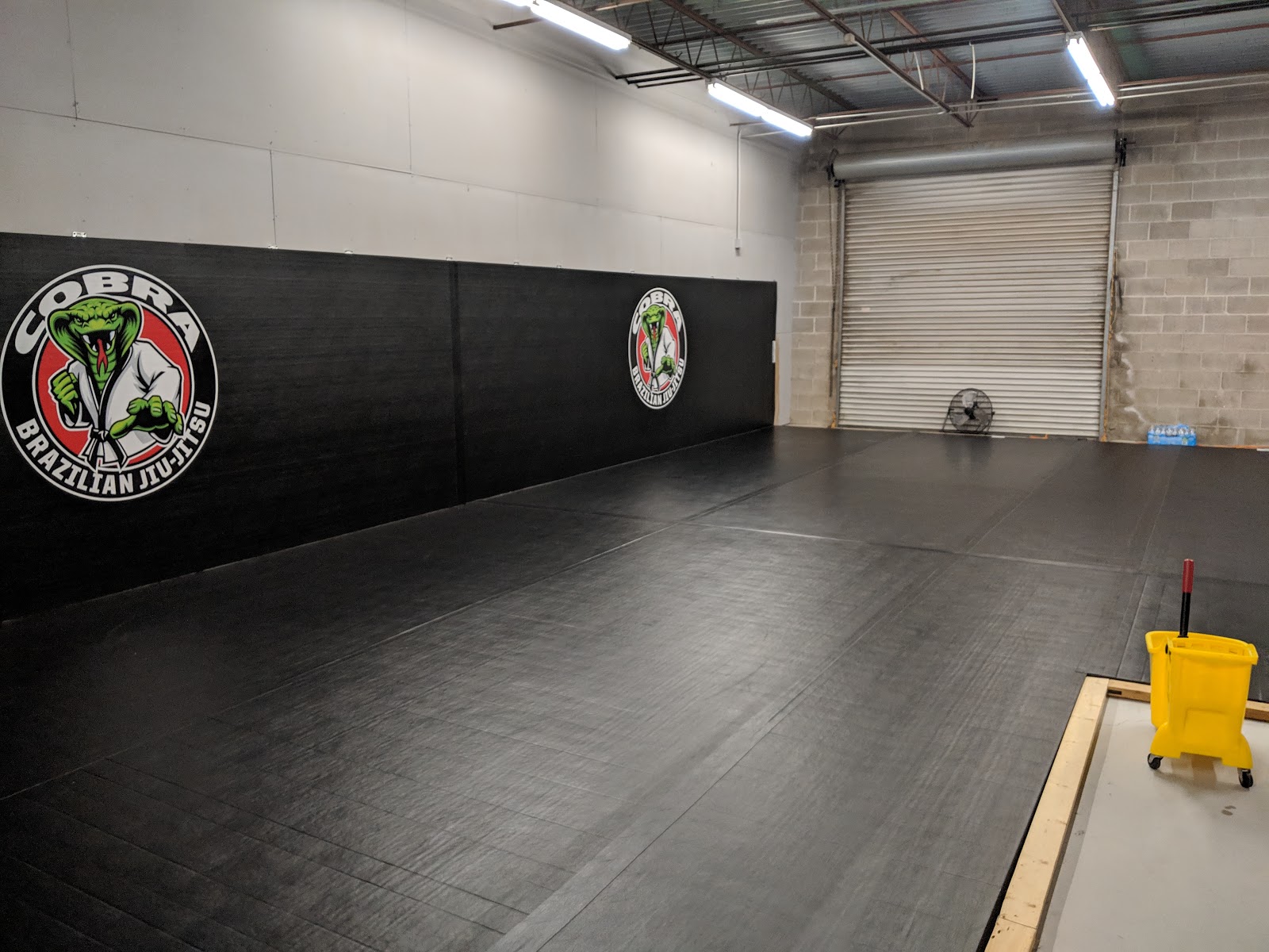 Image 2 of Cobra Brazilian Jiu Jitsu Mansfield