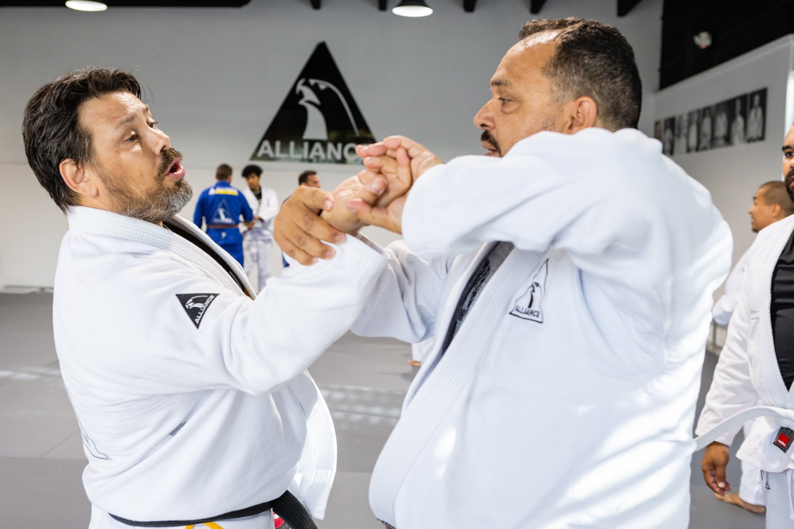 Image 10 of ALLIANCE JIU JITSU MARTIAL ARTS