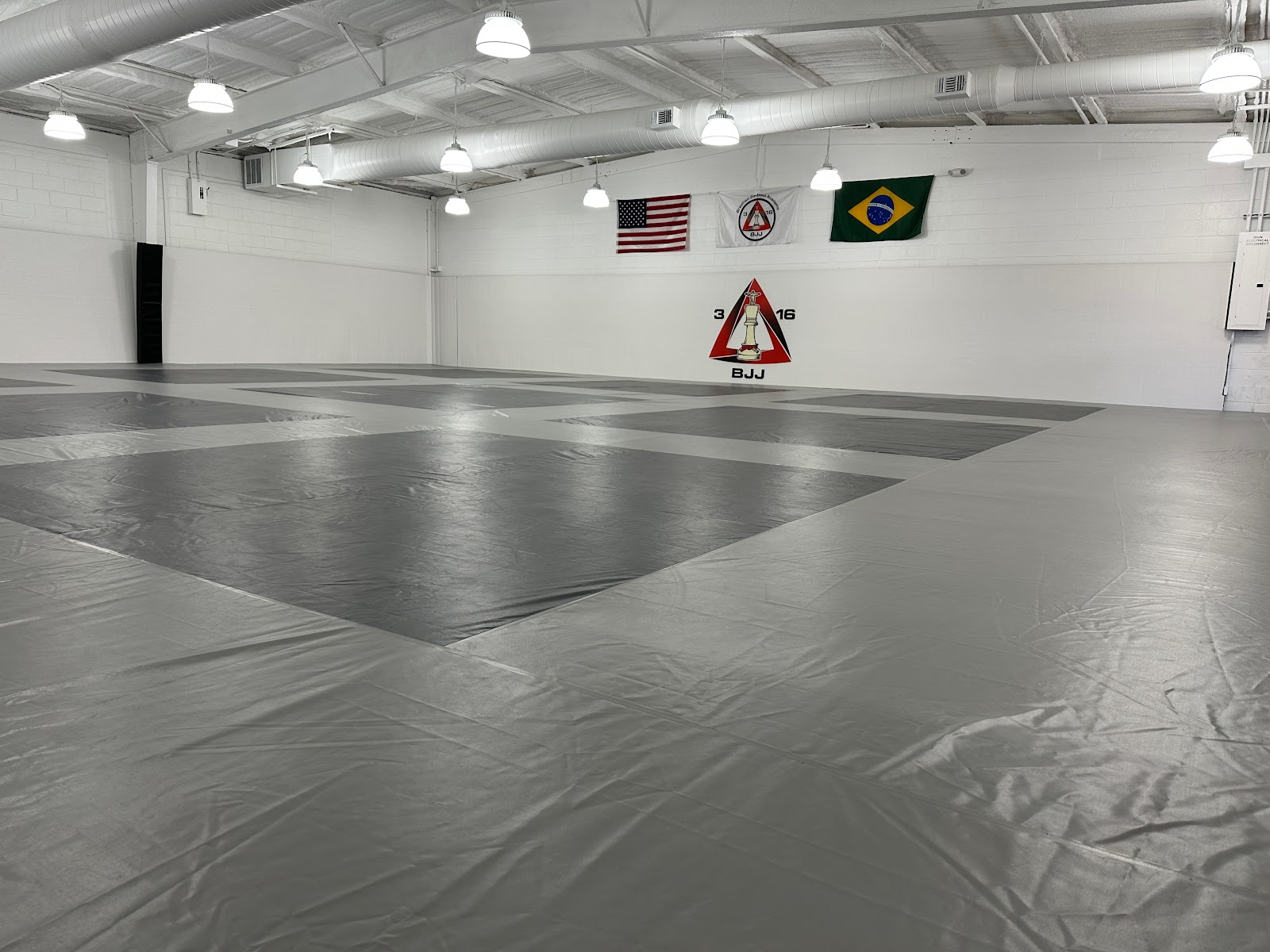 Image 4 of 316 Brazilian Jiu-Jitsu / MMA