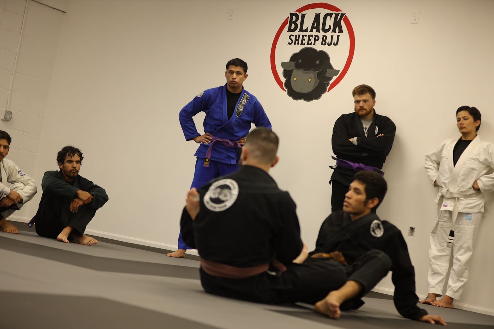 Main image of Black Sheep BJJ/Carlson Gracie Jiu Jitsu El Paso