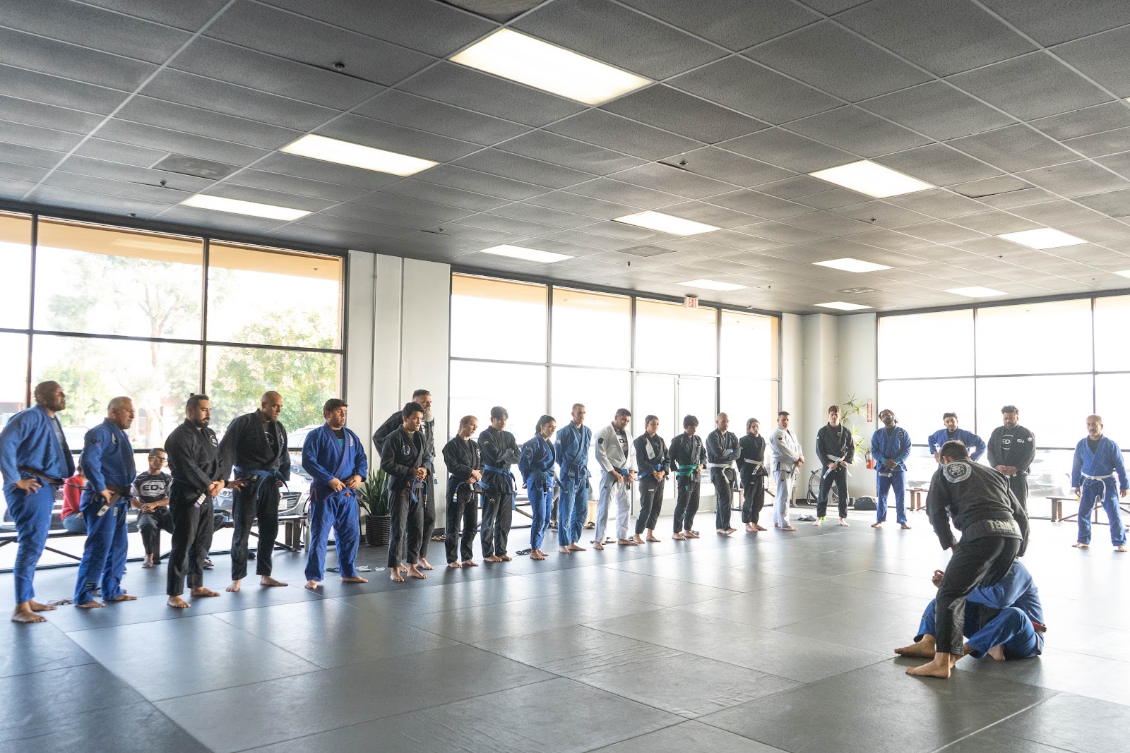 Image 4 of EDJ SCHOOL OF JIU JITSU RANCHO