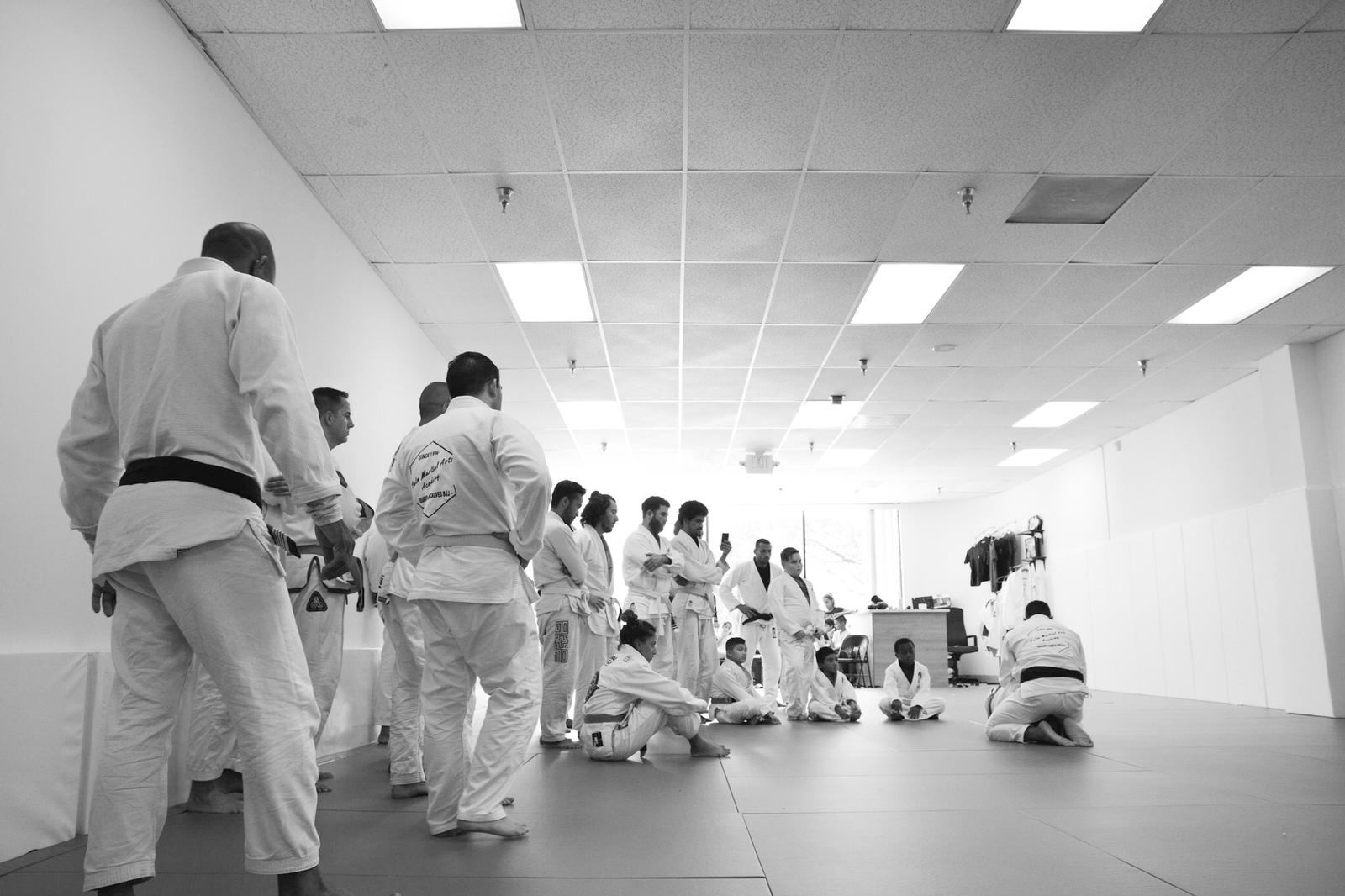 Palm Martial Arts Academy photo