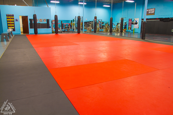 Main image of Gracie Tampa South MMA and BJJ