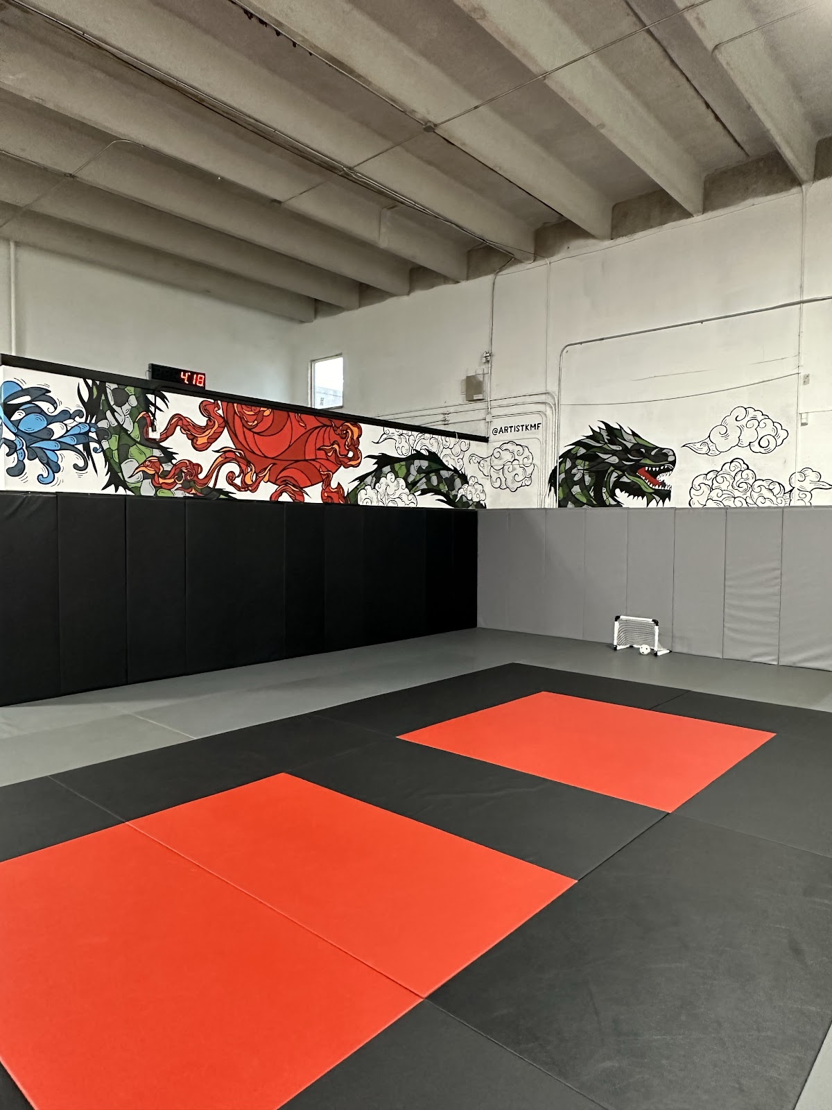 Image 2 of Alpha Miami Grappling South