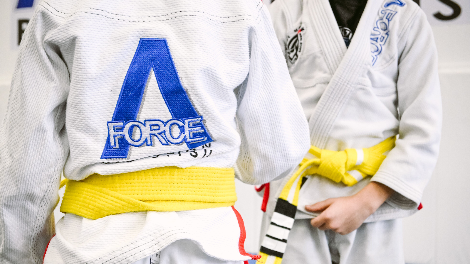 Main image of A-Force Brazilian Jiu Jitsu Academy - Great Neck