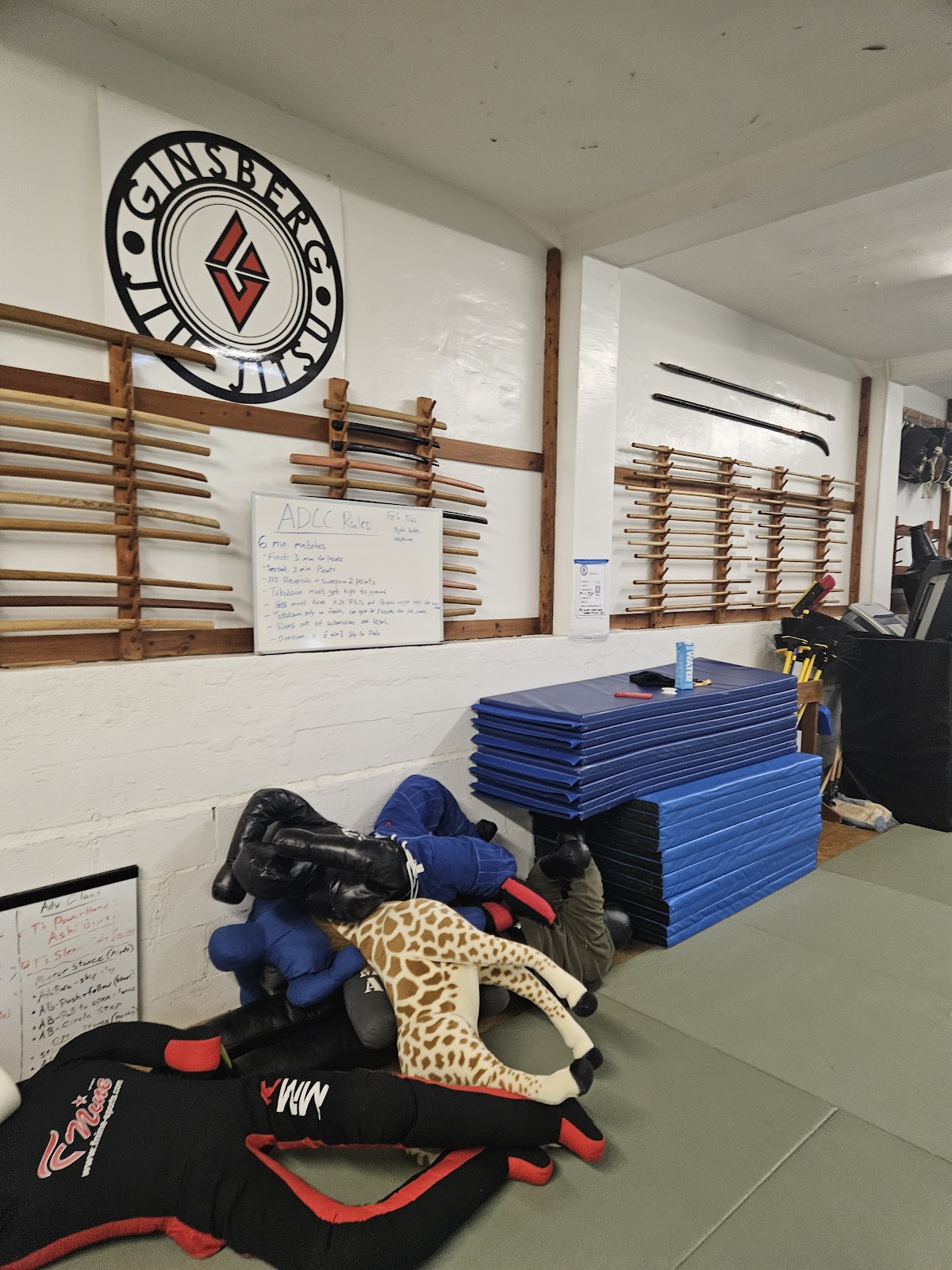 Ginsberg Academy BJJ photo