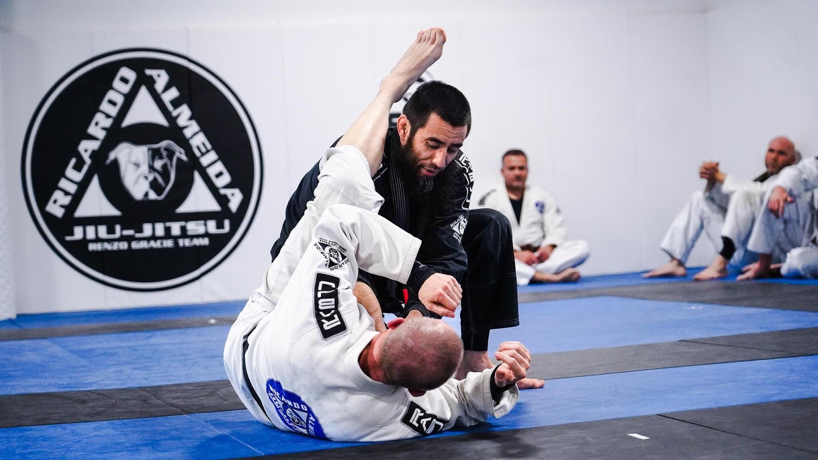 Image 2 of Ricardo Almeida Brazilian Jiu Jitsu Lakewood Ranch