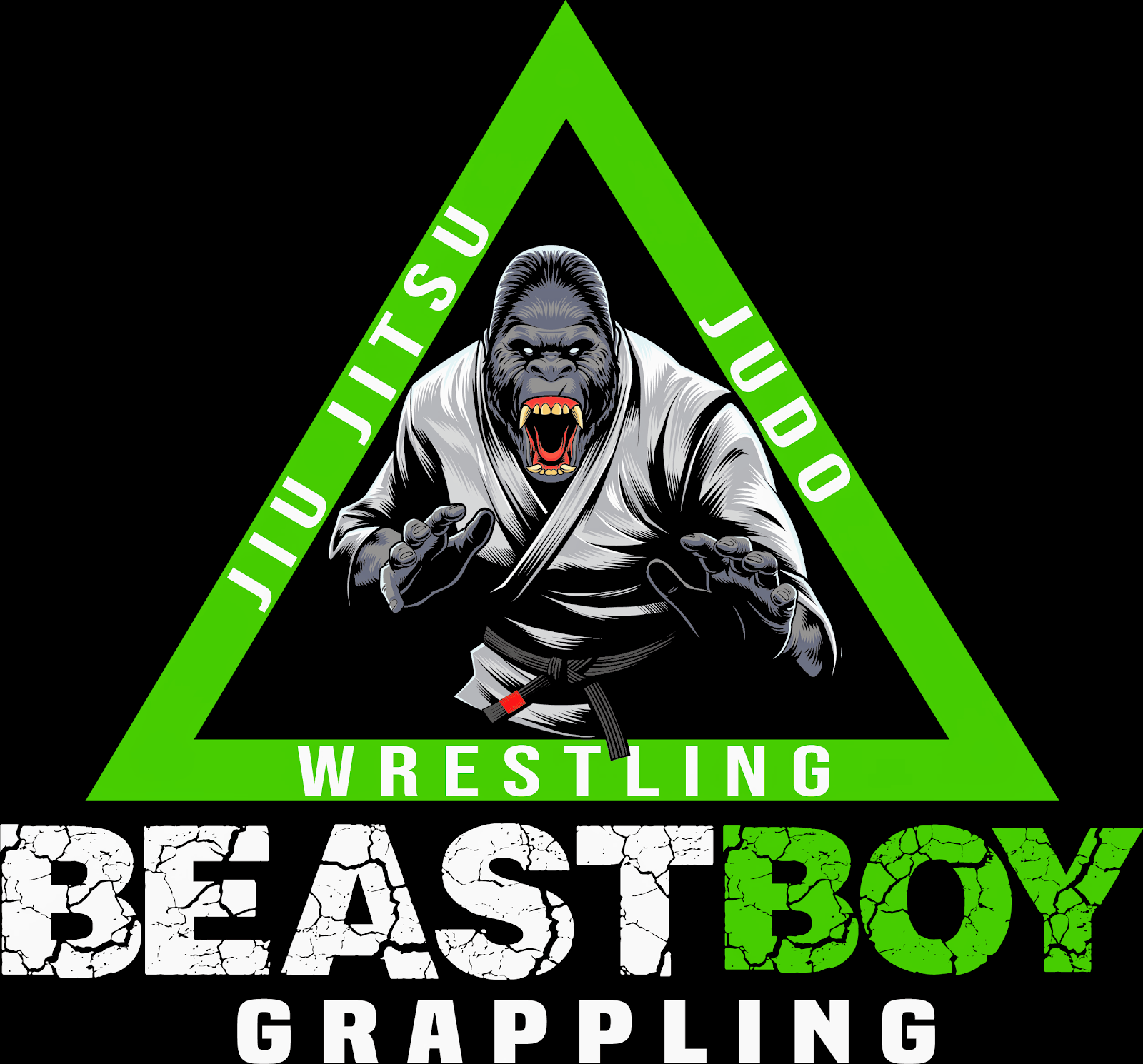 Main image of Beast Boy Grappling