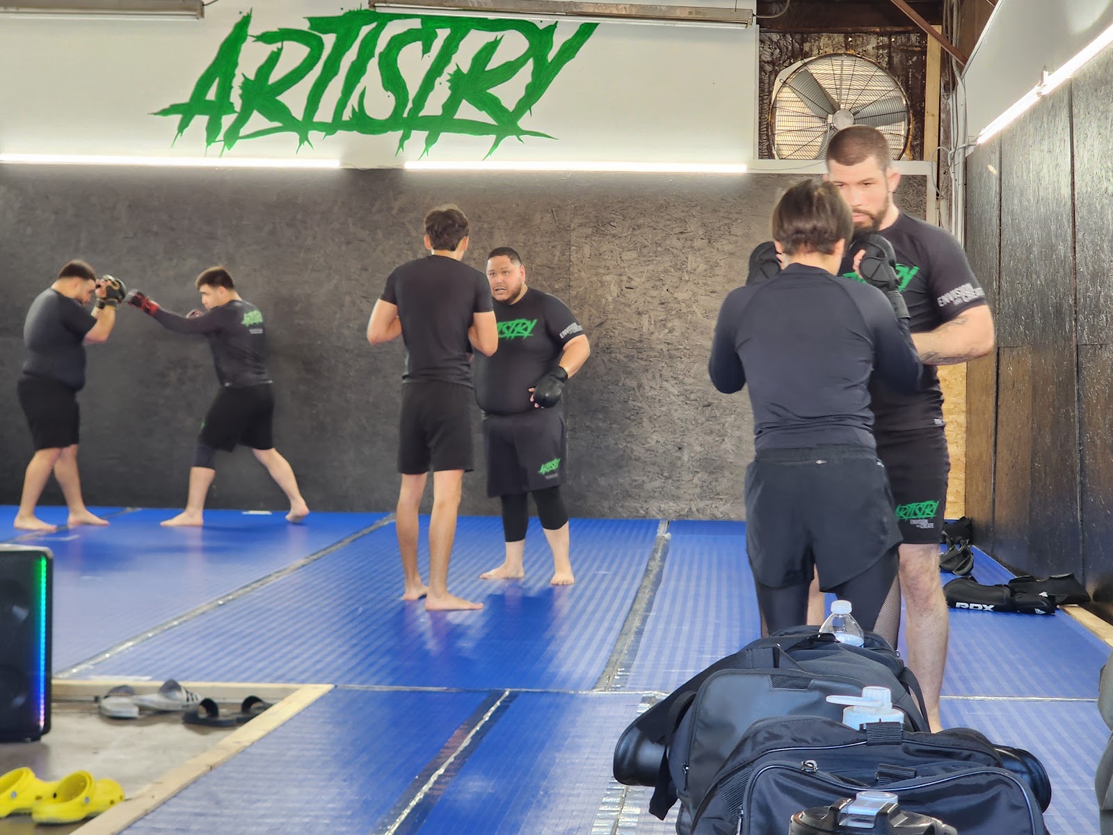 Artistry BJJ photo