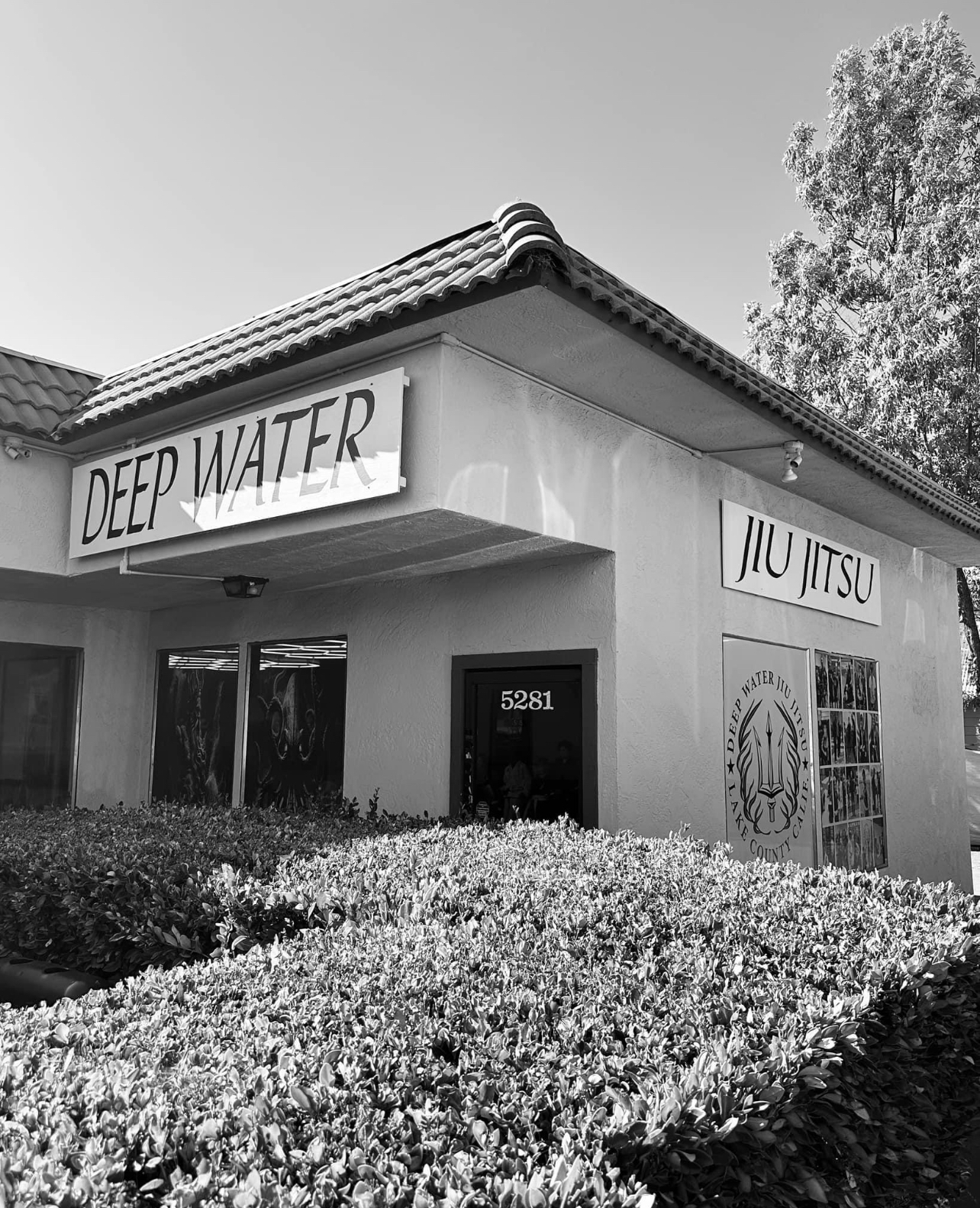 Main image of Deep Water Jiu Jitsu Kelseyville