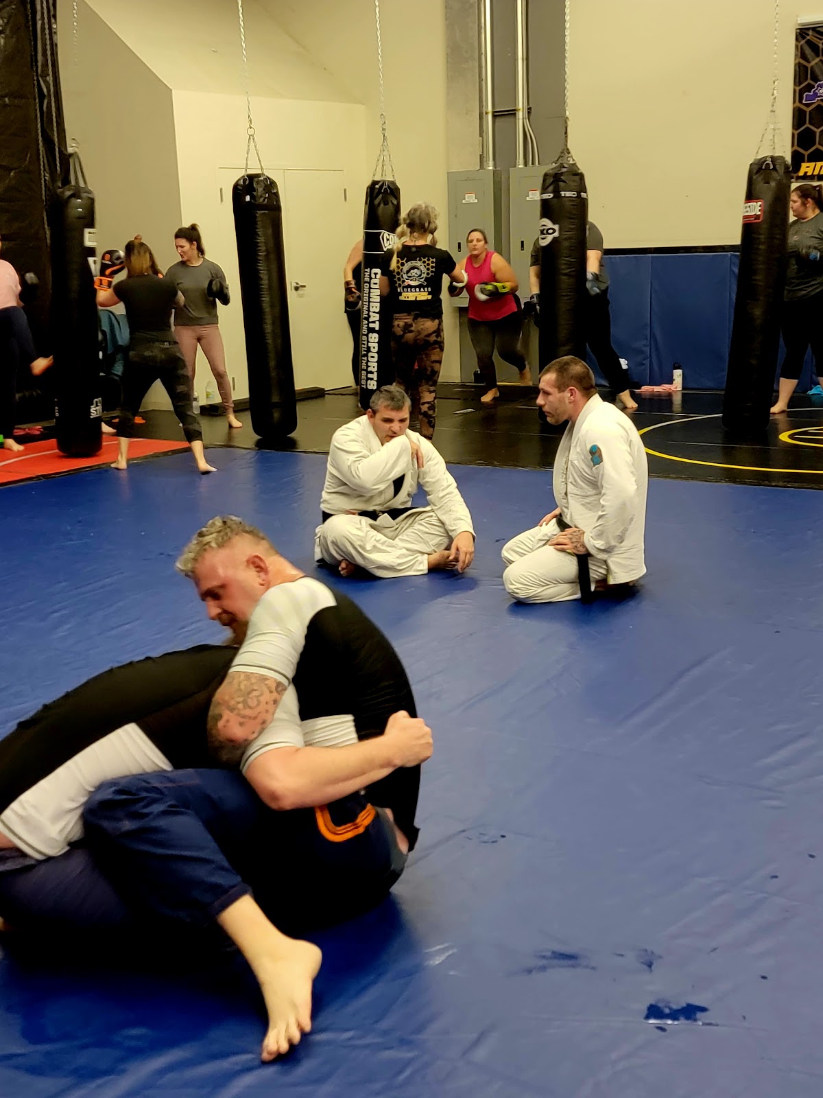 Image 6 of Bluegrass American Killer Bee's BJJ