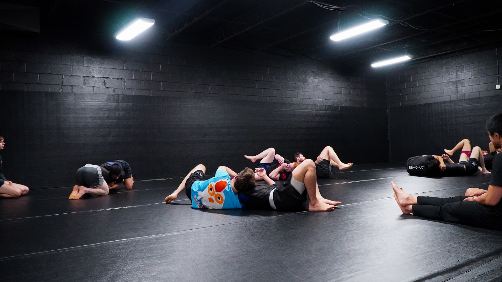 Main image of Standard Jiujitsu