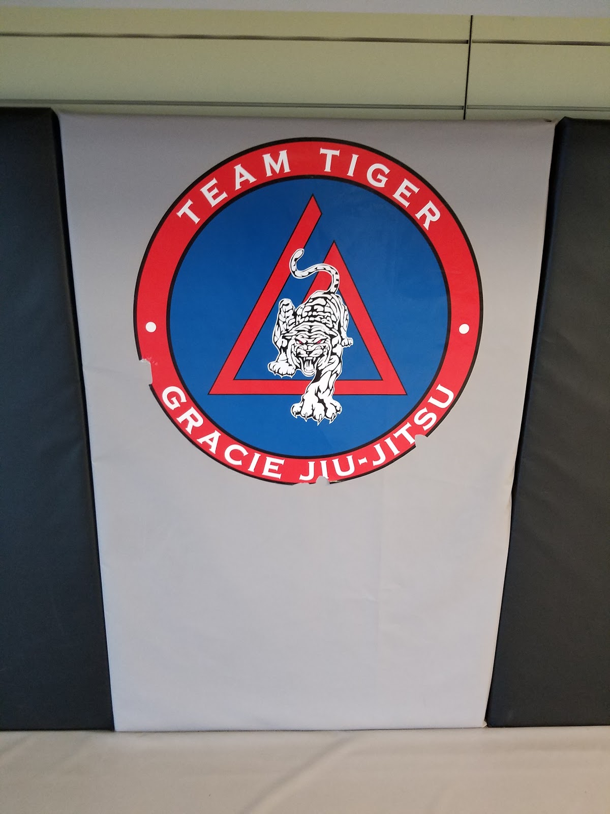 Image 5 of Tiger Academy of Martial Arts