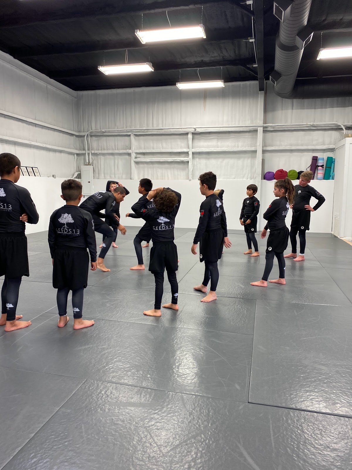 Main image of Seeds 13 Jiu-Jitsu Academy - Abilene, TX