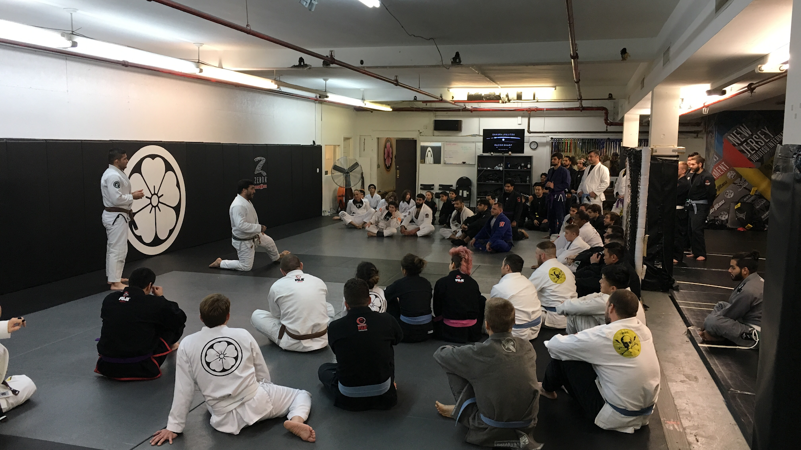 Image 2 of Sakura Jiu Jitsu