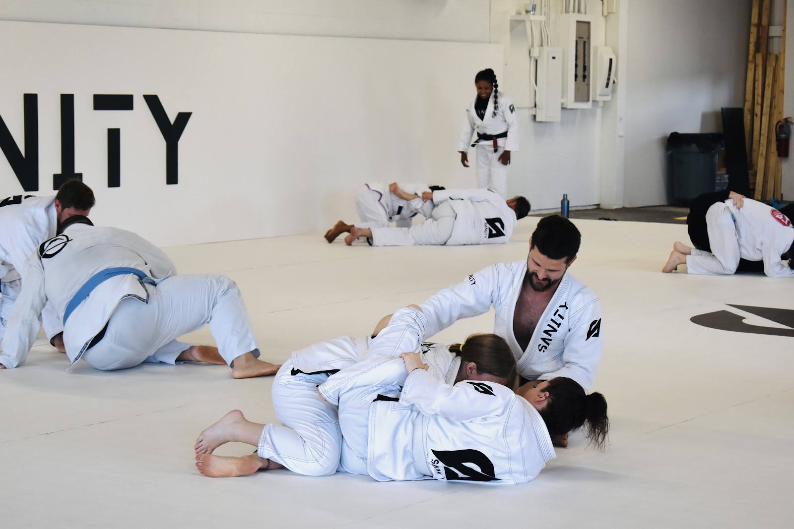 Image 6 of SANITY JIU JITSU WINTER GARDEN